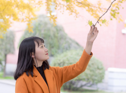 在菲律宾护照丢失要去哪补办